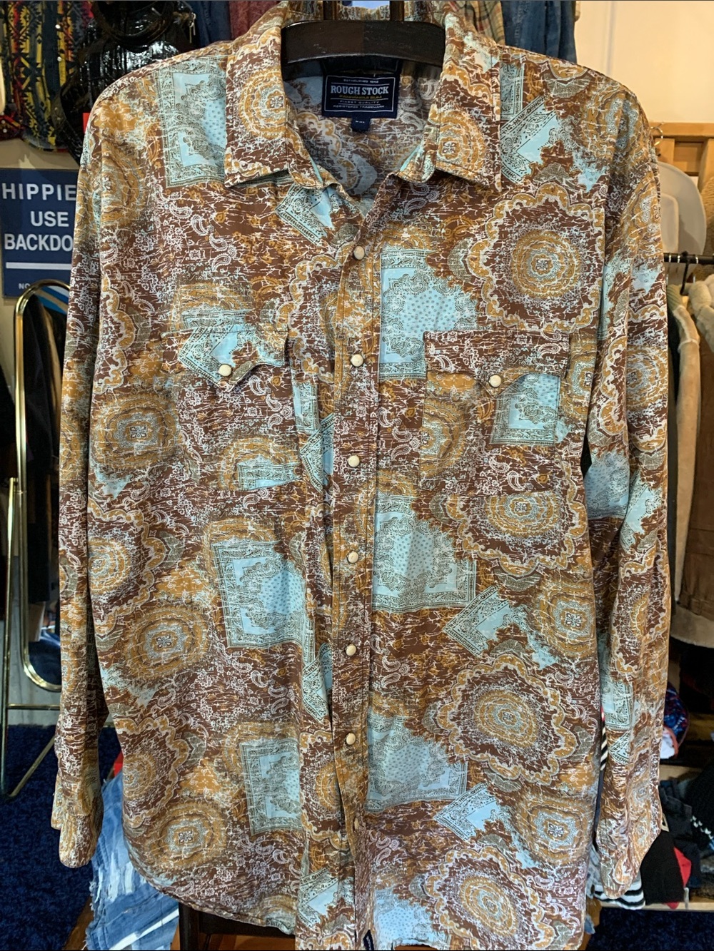 Panhandle Slim Paisley Western Button-Down Shirt in Brown & Light Blue
